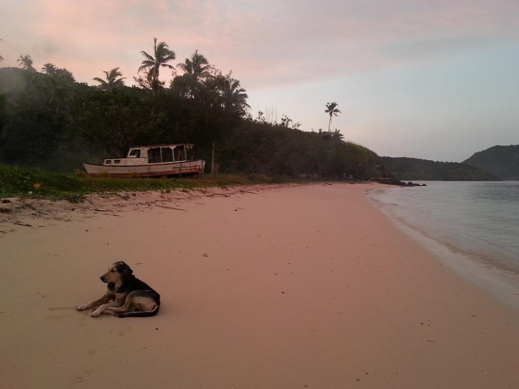 Yasawa Homestays Naisisili Eksteriør bilde
