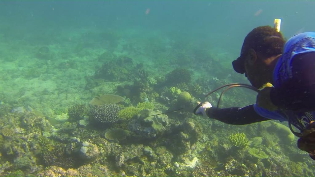 Yasawa Homestays Naisisili Eksteriør bilde